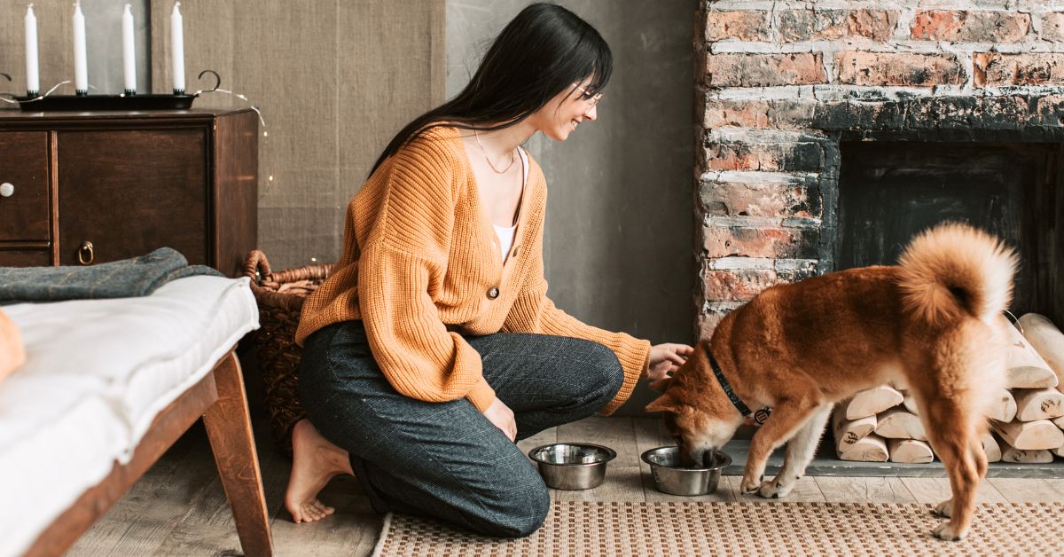 Hogyan készíts otthon teljes értékű ételeket a kutyádnak?